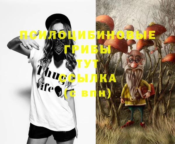 твердый Кукмор