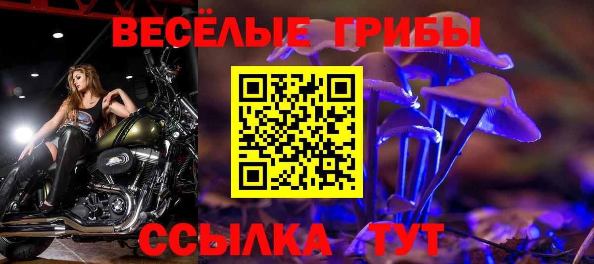Галлюциногенные грибы Cubensis Сосновоборск